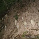 불암약수 이미지