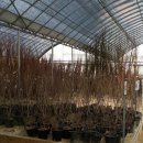 강화군산림조합 이미지