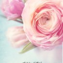 기쁨미소 네이버블로그