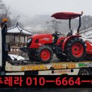 합천추레라 이미지