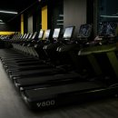 웰니스 지 이미지