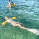 제주협재서프 | <제주 협재> 애월 협재해수욕장 제주 협재 서프에서 처음해본 인생 첫 서핑 체험후기