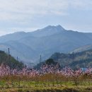 서면 마을회관 이미지