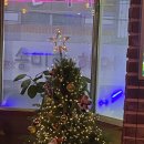 카스톡스 이미지