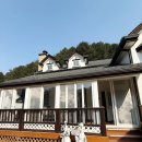 대명노르웨이숲 이미지