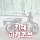 피카로부