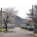 자굴산치유수목원 이미지