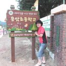 용암초교 이미지