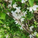 의암호인어동상 이미지