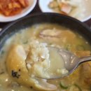 화정중앙한방병원 | 화정맛집 고양시 명지병원 근처 백세삼계탕 방문 후기