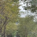 예해든펜션그랜드룸 | 가평 여행 :: 가성비 프라도펜션, 수영장&amp;노래방&amp;사계절 온수풀이 있는 프라도펜션! 그랜드룸 후기