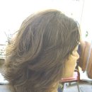 비땅기헤어 이미지