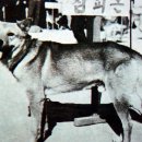 옛날 옛적에 이미지