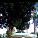 태국골프 그린월드 소식지 이미지