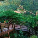 좌구산 명상구름다리 이미지