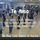 올댓라인댄스 동영상 - Te Amo 이미지