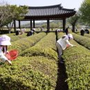 주)보성 이미지