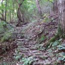 풍원농장 이미지