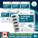 브레인스톰 이미지