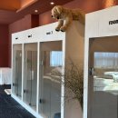 멍텔스컴바인 이미지