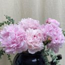 흰사슴한의원 이미지