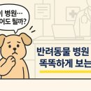 반려동물병원 이미지