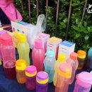 타파웨어 아이비 이미지