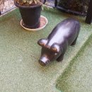 홍순네숯불돼지갈비 이미지