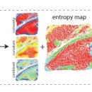 휴먼세탁 이미지