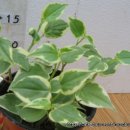 거흥농장 이미지