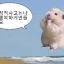 준오에이