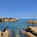 세븐일레븐 하조대 서피비치점 | [양양 스노클링] 하조대 전망대, 하조대 해수욕장_ 준비물, 주차, 샤워, 자리 잡기 꿀팁 (feat. 파워 J...