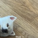 후린부산우동 이미지