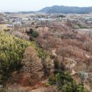 기청농장 네이버블로그