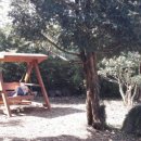 스테이 촌 이미지