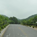 김해대학교