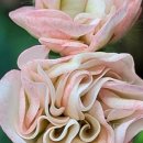 복받음길 이미지