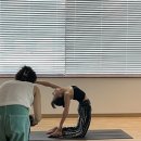요가림 - 통영시 죽림2로 49-31 | 일반인, 직장인의 요가프로필 촬영후기- 청주 요가림🌿