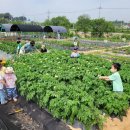 여가농장 이미지