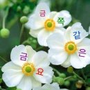 맑은아이 이미지