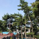 찬솔 이미지