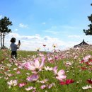 코스모스메디칼 이미지