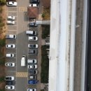 블루시안 이미지