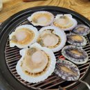 힘센 민물장어 이미지