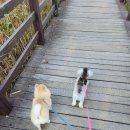 멍하우스 이미지