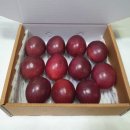 하늘농장1 이미지