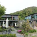 빵드마망 이미지