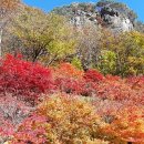 마곡우리공인중개사사무소 이미지