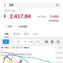 IB 소프트 이미지