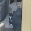 위핏 | 수유헬스장 위핏PT 체험 후기 덤벨 팔운동 루틴